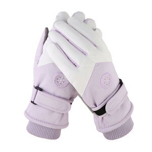 XL[  lp fB[X XL[O[u O[u  h h ۉ  5{w h H V X|[c ~ 