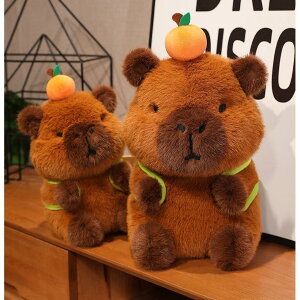  ʂ Jso   xbh ߋ ӂӂ  ̎q j̎q 킢 Mtg  CeA