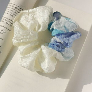 VV {[ fB[X Vv l 킢 wAS 2024 t oCJ[ Tet wAANZT[  JWA