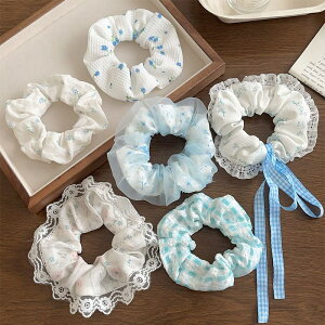 6_Zbg VV fB[X Vv l 킢 wAS 2024 t xr[u[ Cgu[ ؍ [X t wAANZT[  JWA K[[