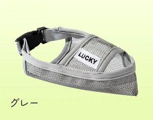    ̃}Y J h~ EH~ ݃OZ ʋCQ p}Y   ʖi ݂h~ LYȂߖh~ pi 6TCY