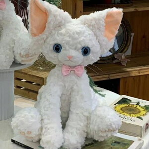 yX[p[Z[ 10%OFFzL ˂ lR f{bNX A l` 傫TCY 킢 a v[g Mtg }XRbg