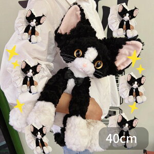 yX[p[Z[ 10%OFFzL ˂ lR f{bNX A l` 傫TCY 킢 a v[g Mtg }XRbg