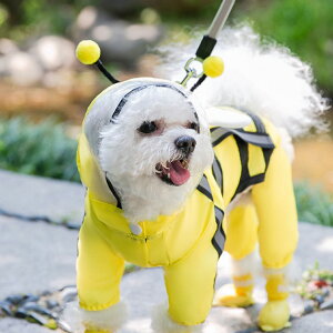  CR[g ybgJbp J ʋC U o ^ EȒP 􂦂 y 킢