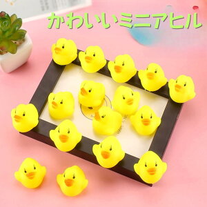 ~jAq 20Zbg C  ~jTCY CEv[EBeɍœK 킢