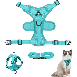 L Up n[lX 锽 L [h y  ʋCbV  Lp U