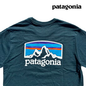 PATAGONIA パタゴニア フィッツロイ ホライゾンズ レスポンシビリティー Tシャツ FITZ ROY HORIZONS RESPONSIBILI-TEE DBGR DARK BOREALIS GREEN 38501