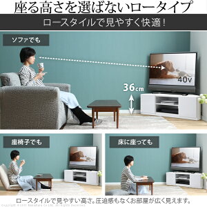 背面収納コーナーTVボードロビン