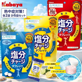 カバヤ 塩分チャージタブレッツ 81g 塩分補給 水分補給 個包装 ( スポーツドリンク味 塩レモン味 梅味 ) カバヤ食品 塩分チャージタブレット タブレット タブレッツ ナトリウム