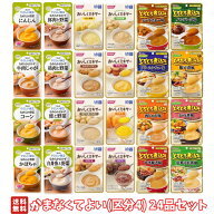 介護食 かまなくてよい 区分4 24品セット ペースト食 流動食 介護食セット やさしい献立 おいしくミキサ…