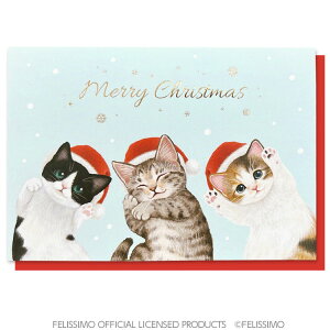 NX}XL|bvAbvJ[h@c[i܂j@CMG-608