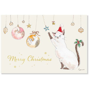 NX}XgRRM|XgJ[h@I[ig@CMP-426