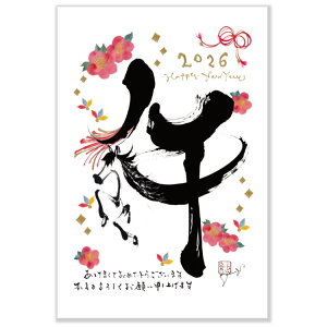 2026XN͂3@icќ@NJ-341