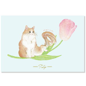 metty bebe|XgJ[h@`[bv@L12-PPF-259