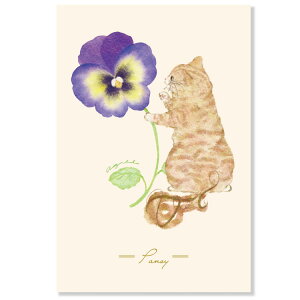 metty bebe|XgJ[h@pW[@L12-PPF-260