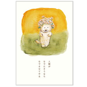 ̎|XgJ[h@Ԋ@L12-PPF-262