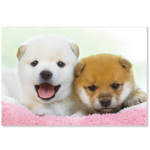 Ck|XgJ[h@ƒF̎Č@L12-PN-612