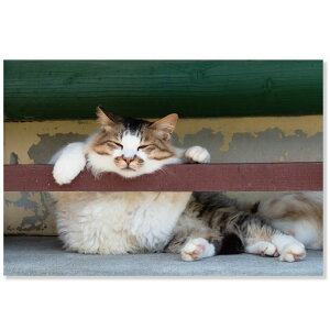 lR|XgJ[h@܂肷L@L12-PB-561