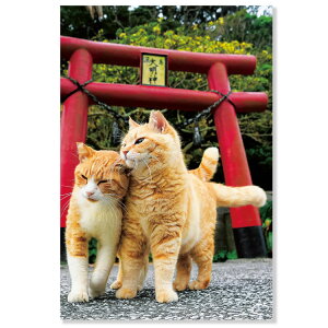 lR|XgJ[h@ƔL@L12-PB-558