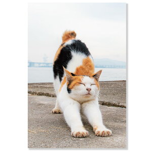 lR|XgJ[h@LтOєL@L12-PB-559