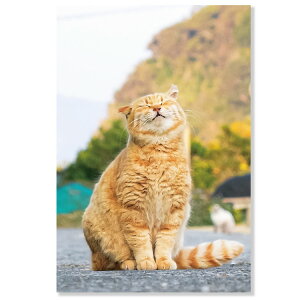 lR|XgJ[h@܂ǂތՔL@L12-PB-560