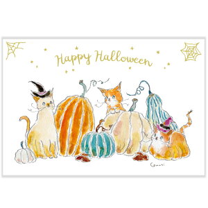 nEB@gRRM|XgJ[h@ڂᔨ@HWPG-274