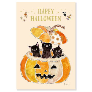 nEB@gRRM|XgJ[h@ڂ̒ɍL@HWPG-275