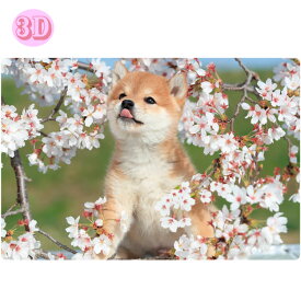 【3D】春柄ポストカード 犬 PP-60h