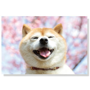 tECk|XgJ[hyČz@PN-582h