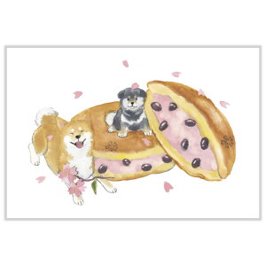 tE΂ʂƏt|XgJ[h@ǂĂ@PPA-255h