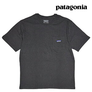 PATAGONIA �p�^�S�j�A �f�C���[ �|�P�b�g �e�B�[ DAILY POCKET TEE INBK INK BLACK 53255