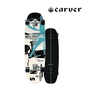 CARVER �J�[�o�[ �X�P�[�g�{�[�h SKATEBOARD CARSON PROTEUS CX(CX4) COMPLETE 33 �J�[�\�� �v���e�E�X