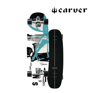 CARVER �J�[�o�[ �X�P�[�g�{�[�h SKATEBOARD CARSON PROTEUS C7 COMPLETE 33 �J�[�\�� �v���e�E�X