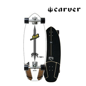 CARVER x LOST カーバー x ロスト PUDDLE JUMPER CX スケートボード SKATEBOARD PUDDLE JUMPER CX COMPLETE 30.5"