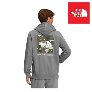 USA THE NORTH FACE U m[XtFCX {bNX NSE t[fB PRINTED BOX NSE HOODIE 9J6 TNF MEDIUM GREY HEATHER/NEW TAUPE GREEN SNOWCAP MOUNTAINSCAP