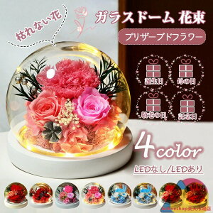 vU[uht[ KXh[ {̉ J[l[V t[  LED ͂Ȃ v[g zCgf[ ̓ hV̓ LO 