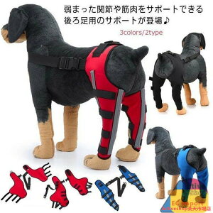  p ֐߃veN^[ 둫 p EZbg G T|[^[ ֐ߕی x ی p  둫 ܎ pi ^ ^ ^