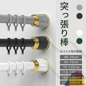 J[eOt˂_  S5F 6TCY Lk_ 40-50cm ~ 210-300cm ς_ sv nK[bN  J[e ̂ق hsv  󕨊  O 