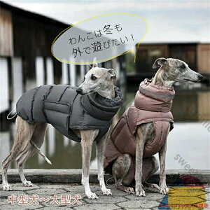  ~ g ̕ Ȃ h V hbOEFA WPbg ^ ^ ~p ₷ h ~ R[g xXg IV d˒  lC h΍ 킢 