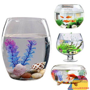  ی^ vX`bNAN ϗtA CeA eANAE {E | e  CeA ԕr 