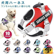 楽天市場】ハーネス 小型犬 抜けない（キャリーバッグ・カート｜犬用品 
