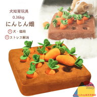 犬 おもちゃ ノーズワーク 犬のおもちゃ 知育玩具 ノーズワークマット 犬用おもちゃ 犬知育玩具 ペット …