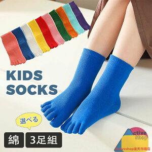 yIׂ3gzq C 5{w LbY V[g\bNX  u lIJ[  j̎q ̎q 5{w\bNX O\h H~ \bNX WjA ^ VY \  