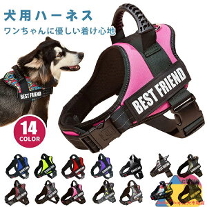  n[lX ^ 킢    Ȃ EȂ ȒP h~ ^ ^ U o AEghA qh~ Ԕ ʋC iC TCY