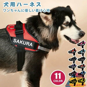 yz  n[lX O  ^ ^ ^ qD  l[ qh~ ȒP K Ȃ EȂ 킢  CjV ˃e[vt ʋC TCY