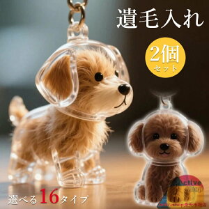 【6%OFFクーポン】ペット 遺毛 ケース 透明 2個セット 選べる16タイプ ペット 遺毛入れ 犬の毛収納ボトル ペットメモリアルボトル 犬のキーホルダー 毛を保管するボトル かわいい ペットひげ