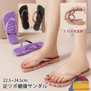 ނ݌y _CGbgT_  T_ Xbp  ނ݉ NT_ Y fB[X c{Xbp NXbp ڃXbp x_ c{ c{ }bT