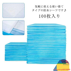 ĝ hV[c 100 ĝ ˂V[c 60×90cm zc ˂΍ ~pbh hpbh pV[c zV[g hV[c AR h~ 唻TCY h~V[