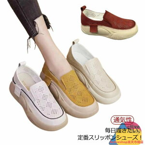 O V[Y fB[X  Xb|  q[4cm  ʋC Xj[J[ RtH[gV[Y C Xb| y y Xb|  C [q[ Xj[J[ 