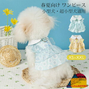  s[X  hbOEGA SNSf LbgEGA L t ybg ^ ^ I[o[I[ EȒP h~  DO U o  xXg _炩